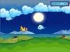 Bird Flight