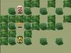 Bomber Man