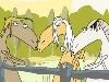 Weird Singing Horses