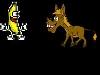 Donkey
